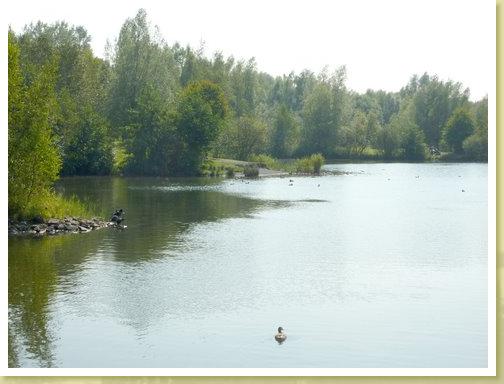 Rieulay_01.09.2011 (4)